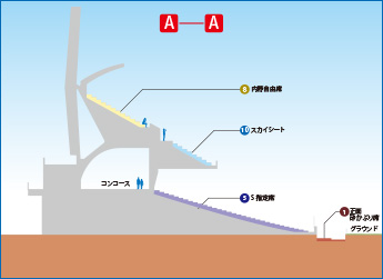 断面図