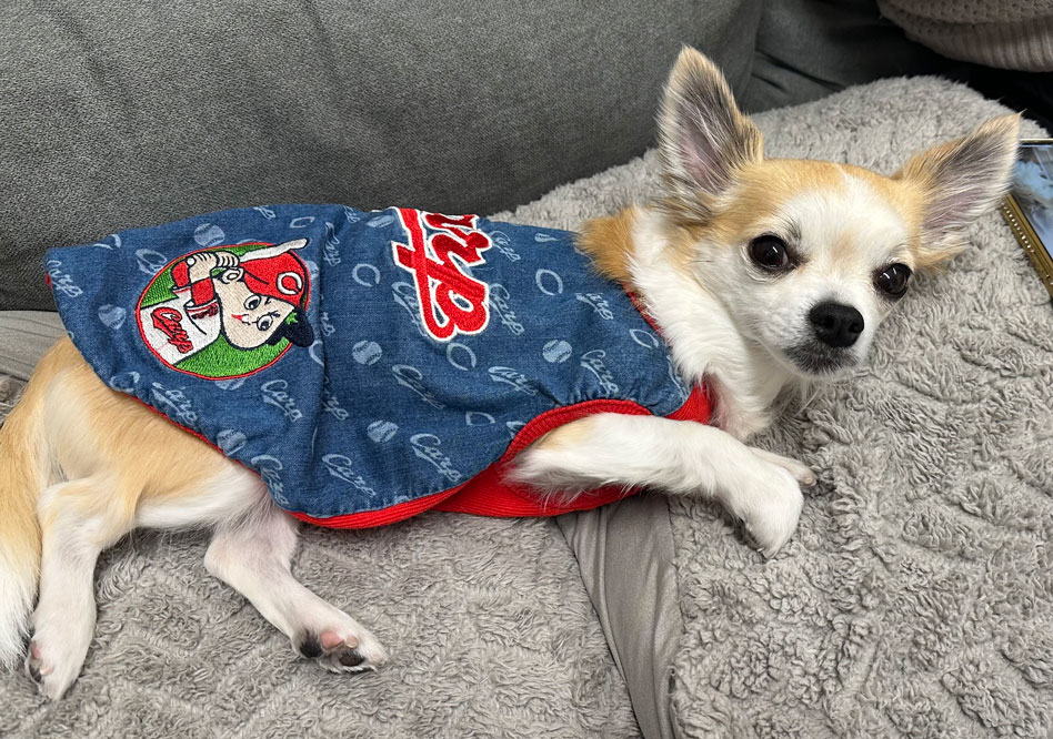 画像