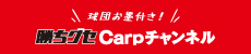 【球団お墨付き】勝ちグセCarpチャンネル
