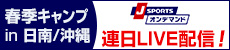 野球好き広島キャンプin日南／沖縄