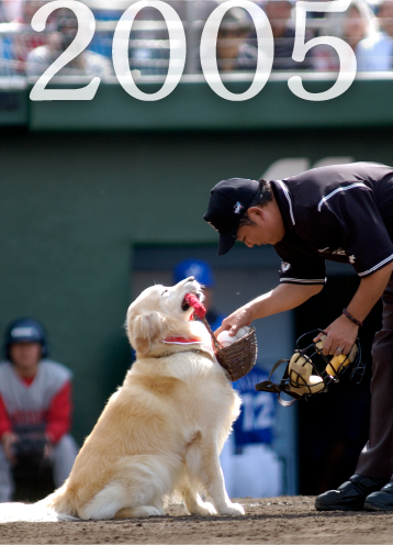2005年