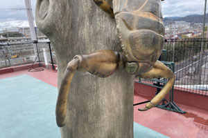 タガメのオブジェ