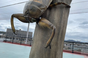 タガメのオブジェ