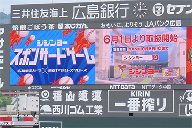 ビジョン