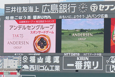 ビジョン