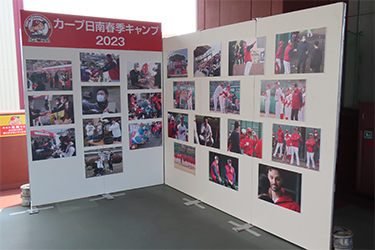 どうぶつ広場