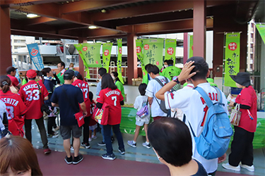 どうぶつ広場