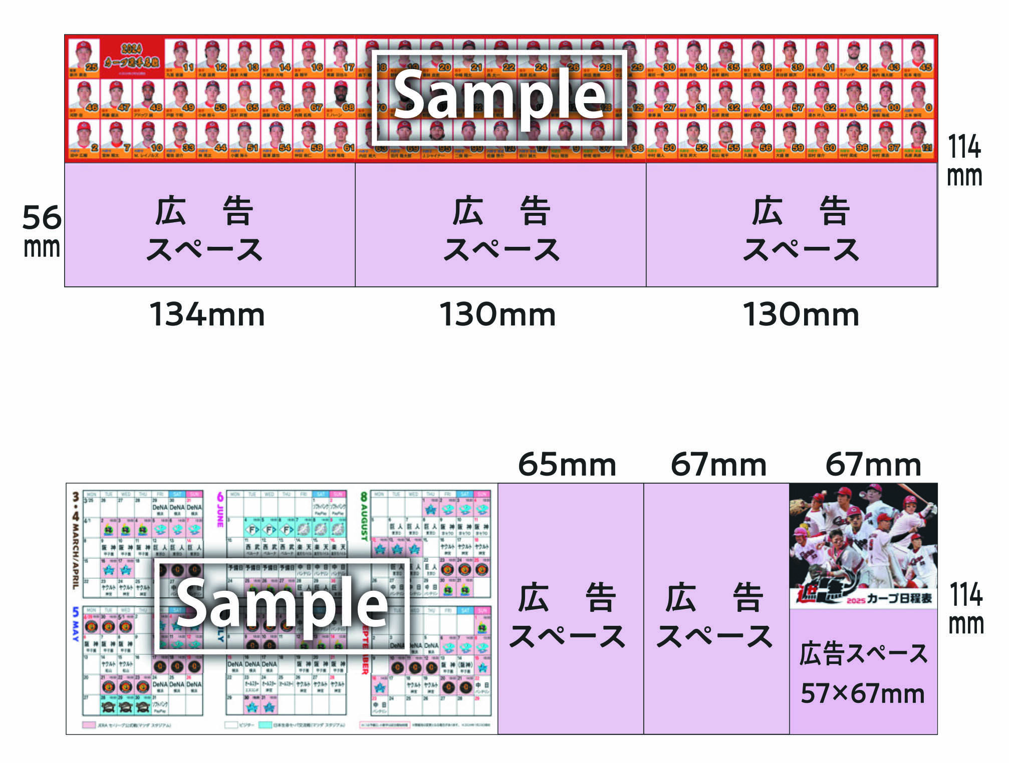 ポケット日程表 １２面選手名鑑入りタイプ