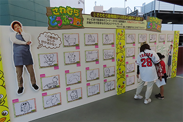 どうぶつ広場