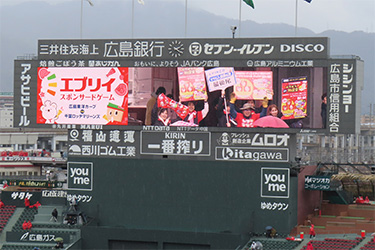 どうぶつ広場
