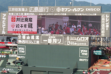 ビジョン
