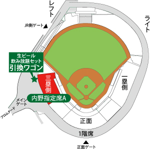 球場図
