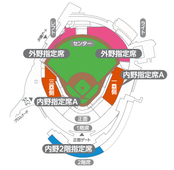 球場図