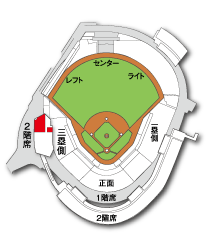 カープチケット 外野ライト最前列二枚